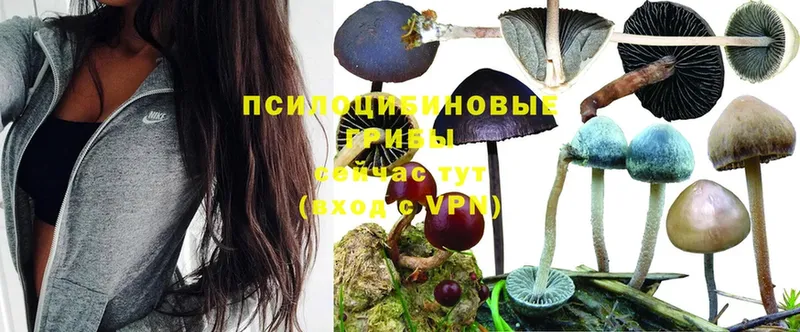 Галлюциногенные грибы Magic Shrooms  Радужный 